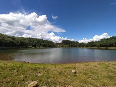 Foto de 2021